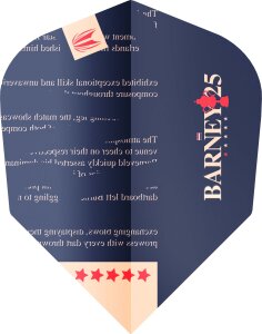 Target Flights RAYMOND VAN BARNEVELD BARNEY25 3 Sets Pro.Ultra