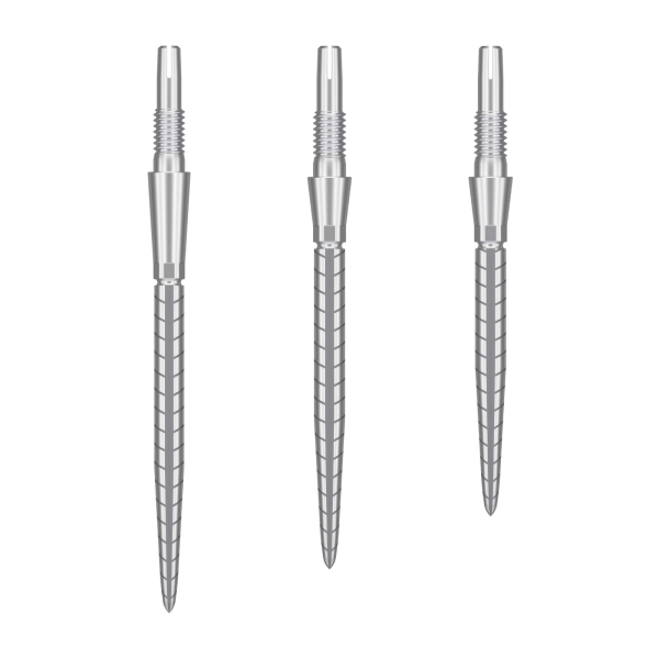 Target SWISS STORM QUARTZ POINT SILVER