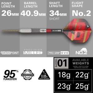 Target Steeldarts STEPHEN BUNTING G5 95% SP 22g
