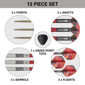 Target Steeldarts STEPHEN BUNTING G5 95% SP 22g