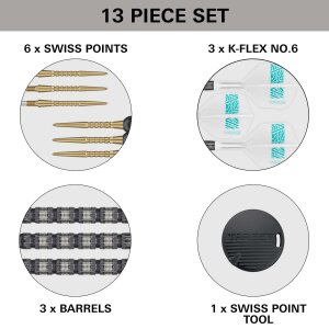 Target Steeldarts ROB CROSS 95K SP 21g
