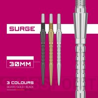 Target SWISS STORM SURGE POINT SILVER 30mm