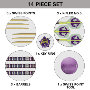 Target Steeldarts LUKE LITTLER World Champion Edition 23g SP