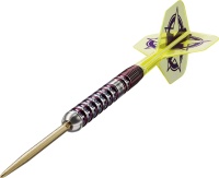 Target Steeldarts LUKE LITTLER World Champion Edition 23g SP