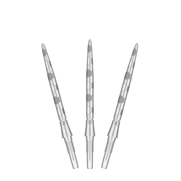 Target SWISS STORM ONYX POINT SILVER 30mm