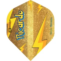 Datadart Flights Ricardo Pietreczko Standard No.2 gold