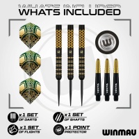 Winmau Steeldarts Brendan Dolan SE 23g 2