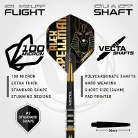 Winmau Steeldarts Spellman 22g 3