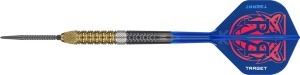 Target Steeldarts RAYMOND VAN BARNEVELD 95% G6 SP