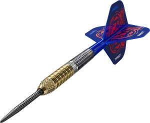 Target Steeldarts RAYMOND VAN BARNEVELD 95% G6 SP 25g