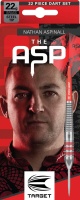 Target Steeldarts NATHAN ASPINALL BRASS 22g 3