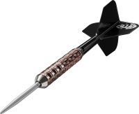 Target Japan Steeldarts RAPTOR G6 24G SP 3