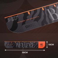 Target Abwurflinie RAYMOND VAN BARNEVELD 4