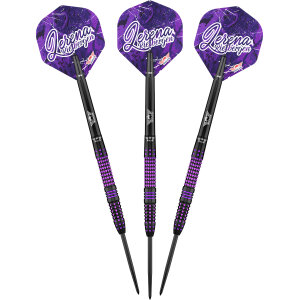 Bulls Steeldarts Lerena Rietbergen 90% 24g
