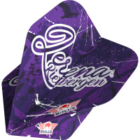 Bulls Steeldarts Lerena Rietbergen 90% 24g 4