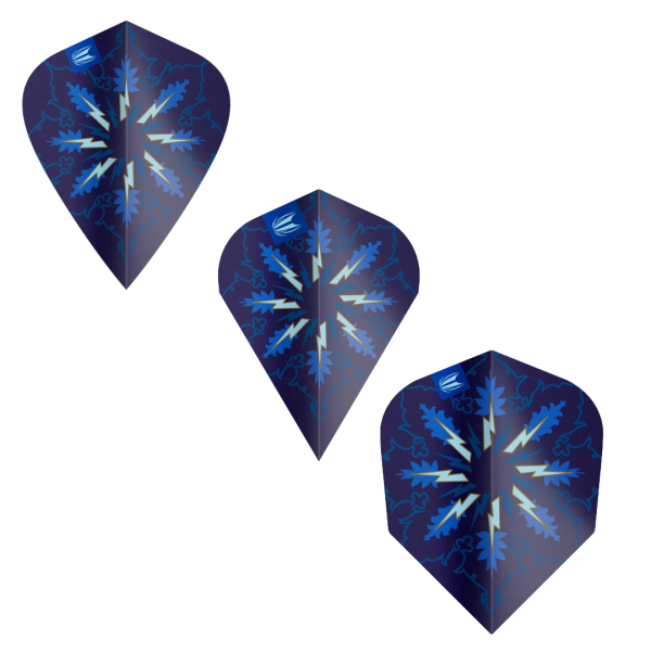 Target Flights PHIL TAYLOR POWER Gx2  PRO