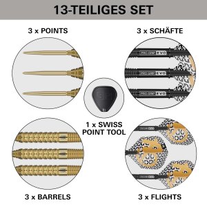 Target Steeldarts BOLIDE ENVY 02 90% SP