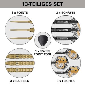 Target Steeldarts BOLIDE ENVY 03 90% SP