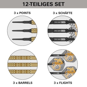 Target Softdarts BOLIDE ENVY 10 90%