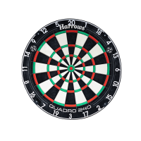 HARROWS Quadro 240 Dartboard B-Ware gallery