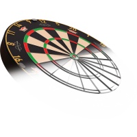 Bulls Advantage 8 Professional Dartboard 2
