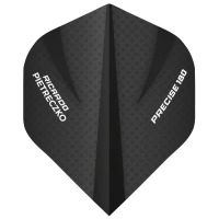 Precise180 Flight & Schaft Set Ricardo Pietreczko