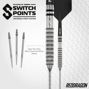 Red Dragon Steeldarts Gian van Veen Tour Edition Switch Point 21g