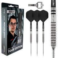 Red Dragon Steeldarts Gian van Veen Tour Edition Switch Point 21g