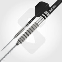 Red Dragon Steeldarts Gian van Veen Tour Edition Switch Point 21g