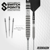 Red Dragon Steeldarts Gian van Veen Tour Edition Switch Point 21g