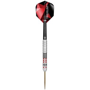 Shot Steeldarts Michael Smith Achieve 90% 24g handsigniert