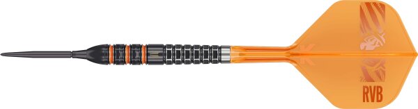 Target Steeldarts RAYMOND VAN BARNEVELD 95K 23g