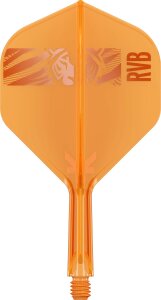 Target Steeldarts RAYMOND VAN BARNEVELD 95K 23g