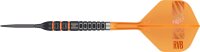 Target Steeldarts RAYMOND VAN BARNEVELD 95K 23g