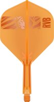 Target Steeldarts RAYMOND VAN BARNEVELD 95K 23g