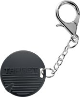 Target Steeldarts RAYMOND VAN BARNEVELD 95K 23g