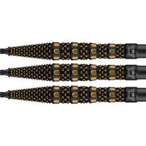 Bulls Steeldarts Advantage Slope 95% CP