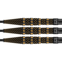 Bulls Steeldarts Advantage Slope 95% CP