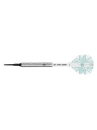 Target Softdarts ROB CROSS The Voltage 19g