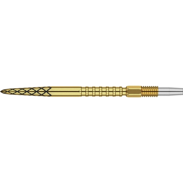 Target SWISS DS POINT GOLD 30mm