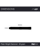 Red Dragon Steeldarts Peter Wright World Champion Diamond Fusion SE 20g