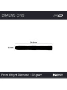 Red Dragon Steeldarts Peter Wright World Champion Diamond Fusion SE 22g