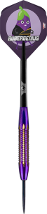 Bulls Steeldarts Dirk van Duijvenbode Aubergenius Brass 21g