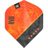 Target Steeldarts RAYMOND VAN BARNEVELD RVB G4 95% Swiss Point 21g 3