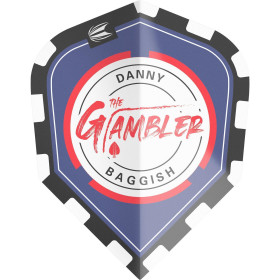 Target Steeldarts DANNY BAGGISH G1 90%