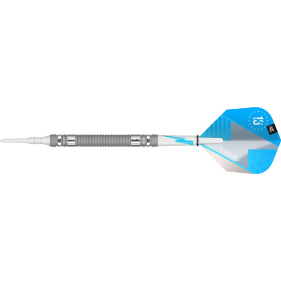 Target Softdarts PHIL TAYLOR POWER SERIES 80% silver