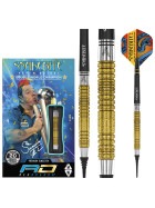 Red Dragon Softdarts Peter Wright DWC SE Gold 20g