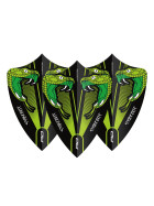 Red Dragon Hardcore Peter Wright Snakebite Green Transparent Freestyle Flights