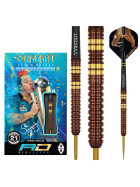 Red Dragon Steeldarts Peter Wright Copper Fusion