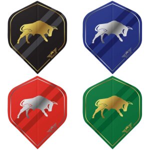 Bulls Flights Retro Standard No.2